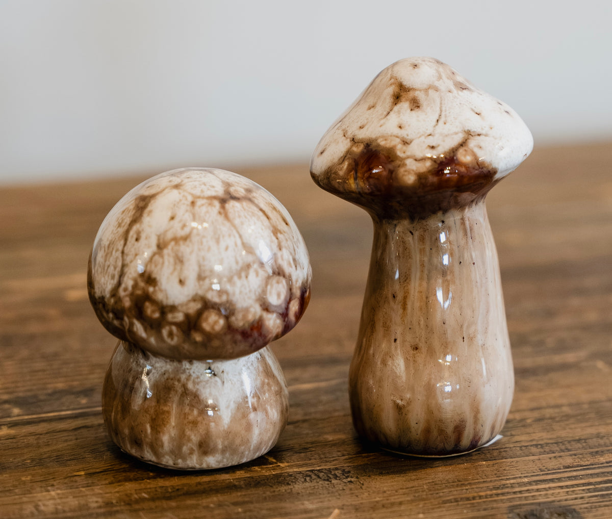 Set of 2 Autumn Toadstools
