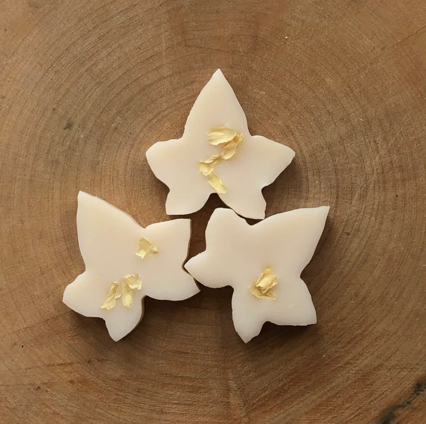 Sundara Beach Wax Melts