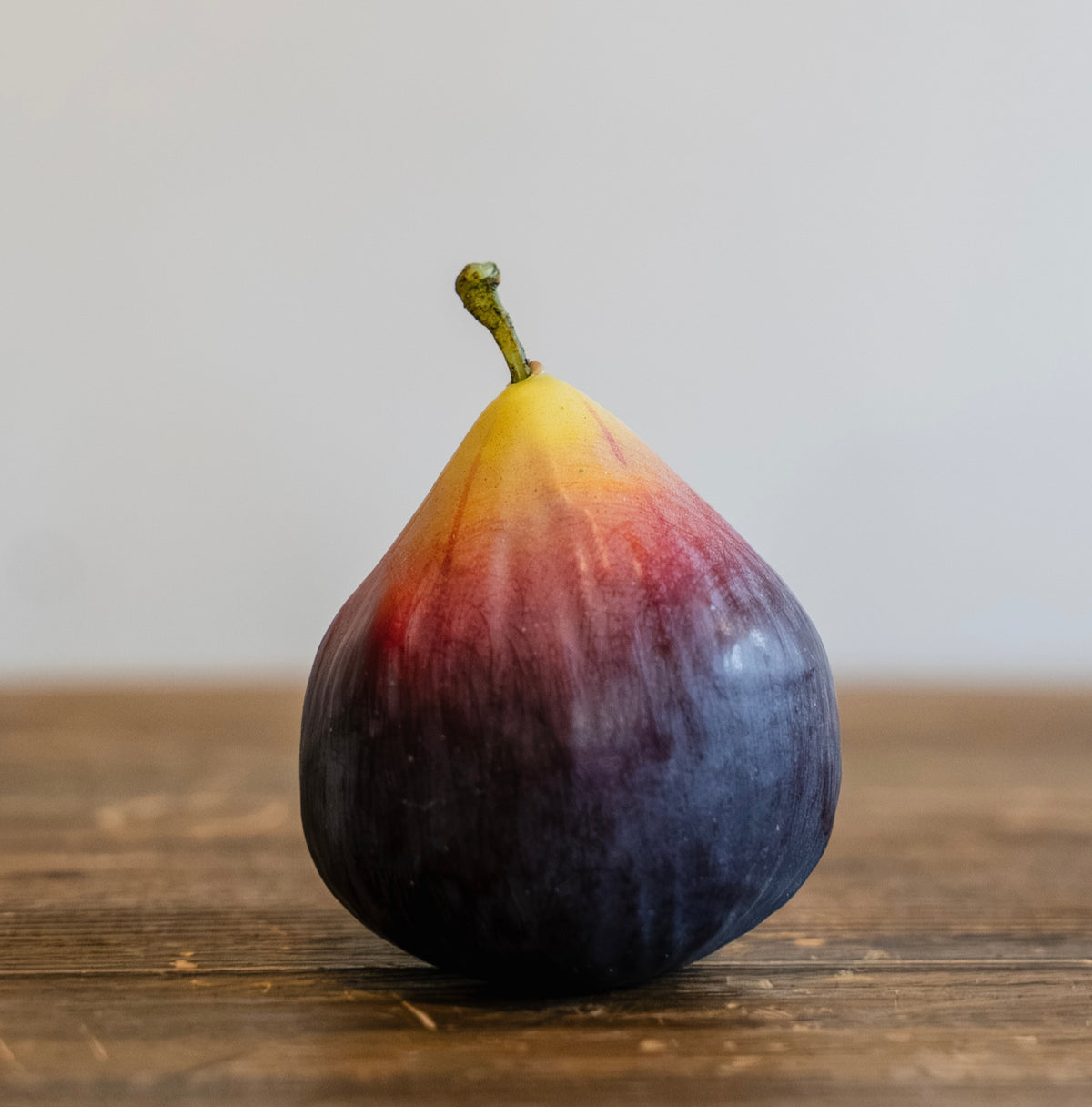 Decorative Fig
