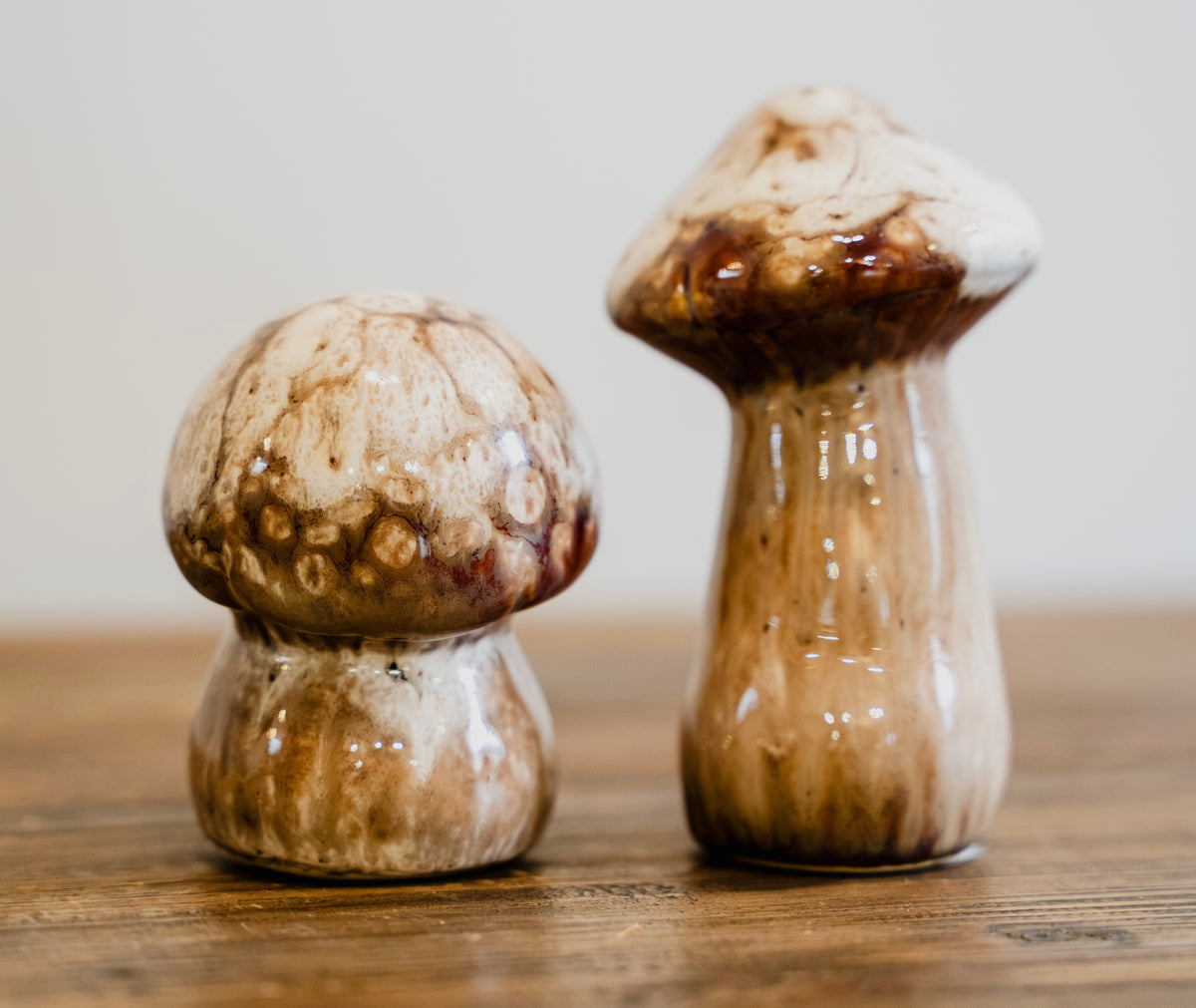 Set of 2 Autumn Toadstools