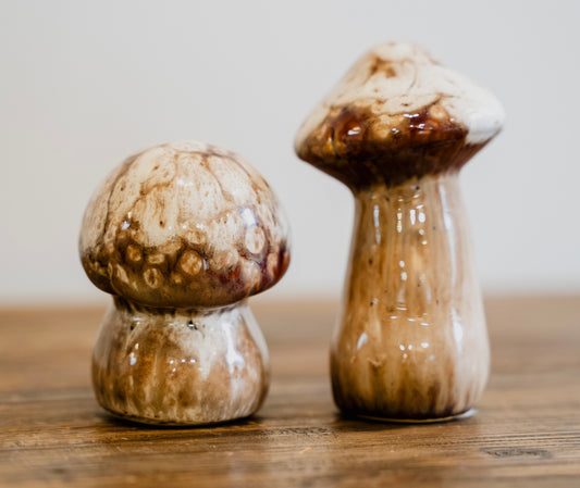 Set of 2 Autumn Toadstools