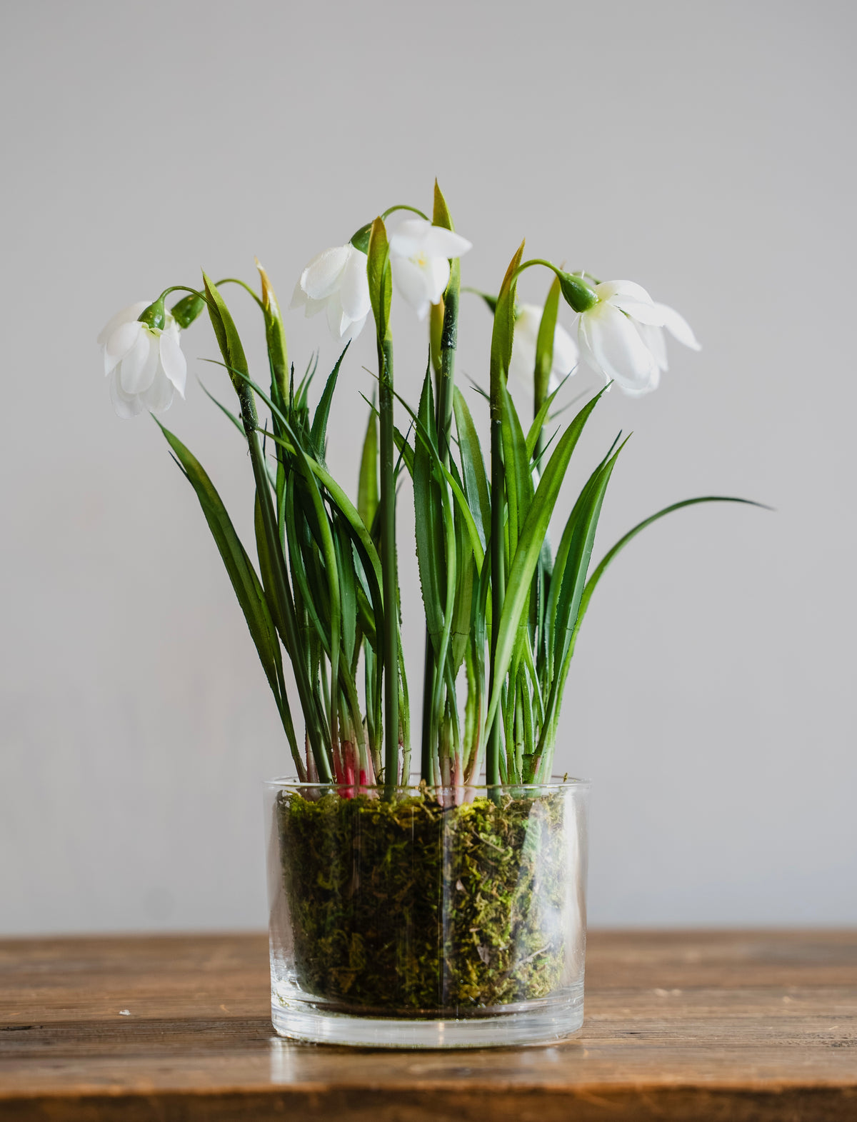 Snowdrop Faux Plant in Glass Pot