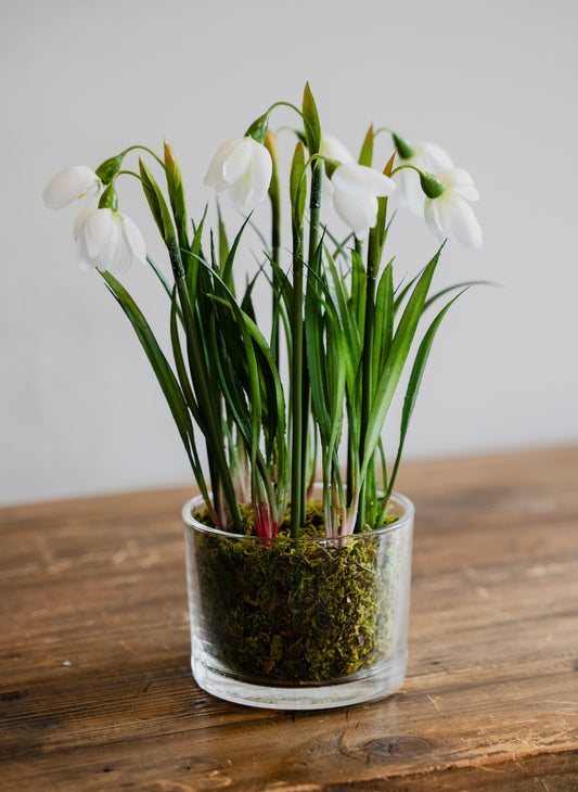 Snowdrop Faux Plant in Glass Pot