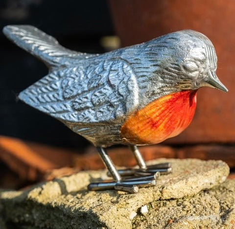 Red Breast Robin