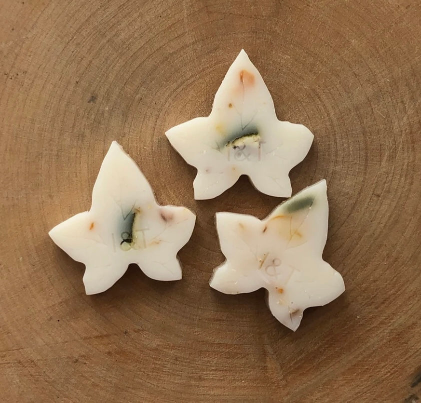 Mango & Lime Wax Melts